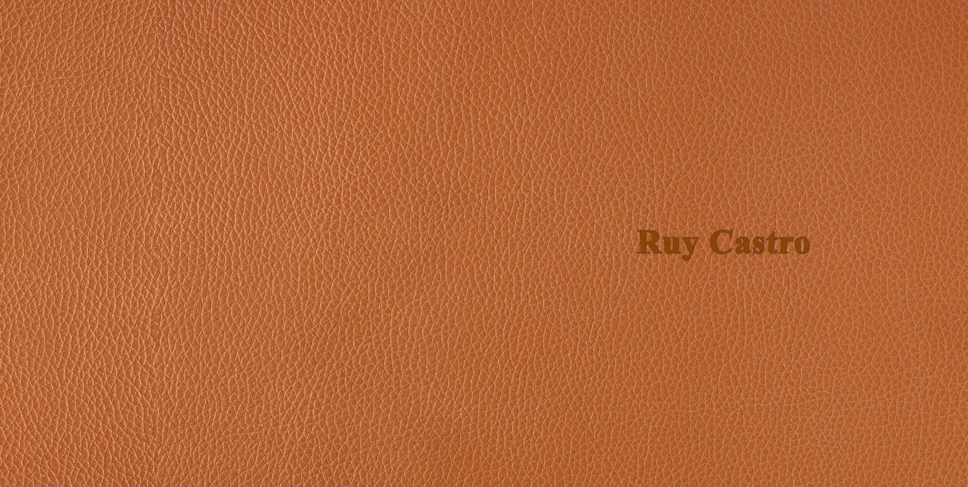 Produção de Álbum Fotográfico do Imortal Ruy Castro - 2 - 2