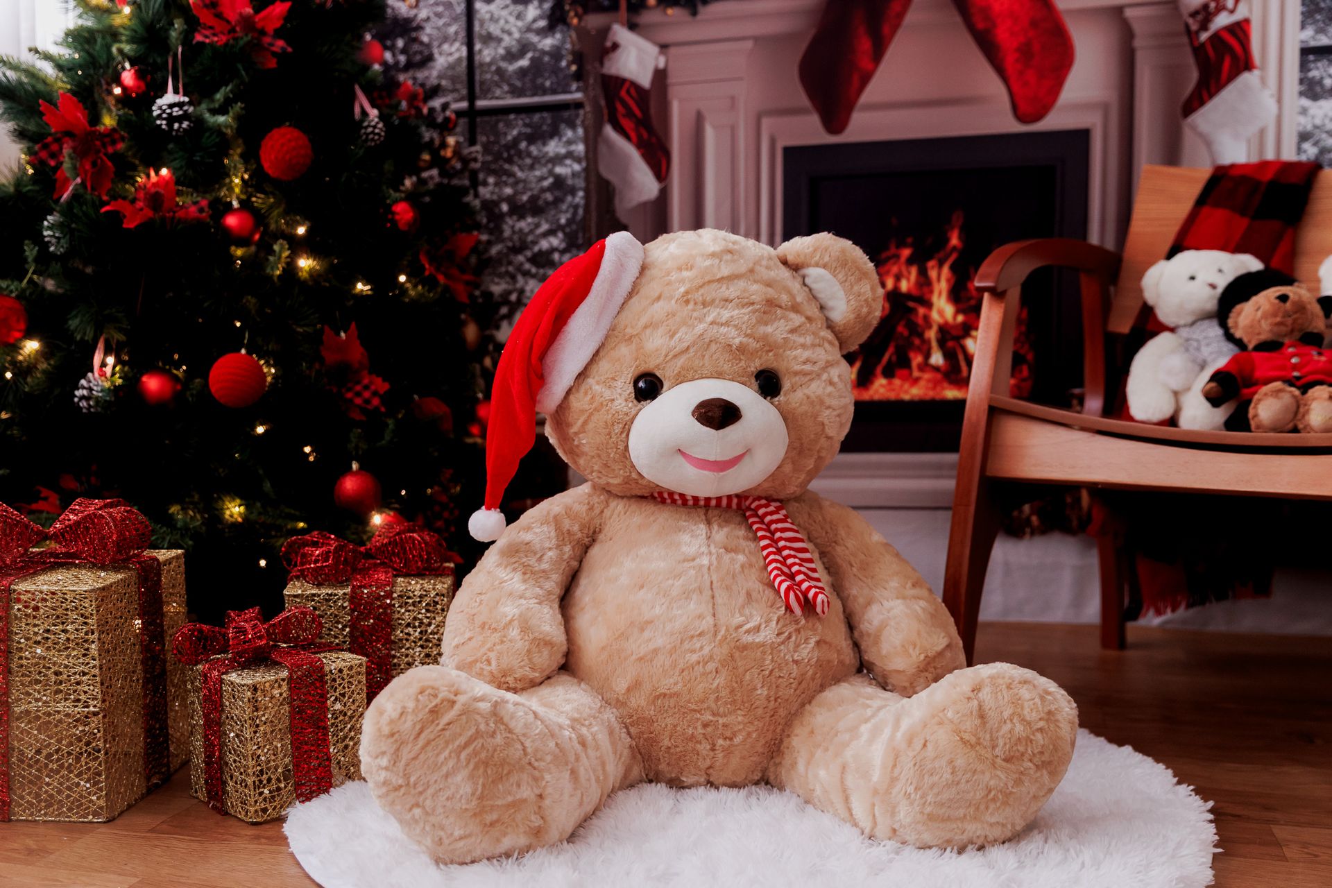 Ensaio de Natal 2025 - 2 - 14