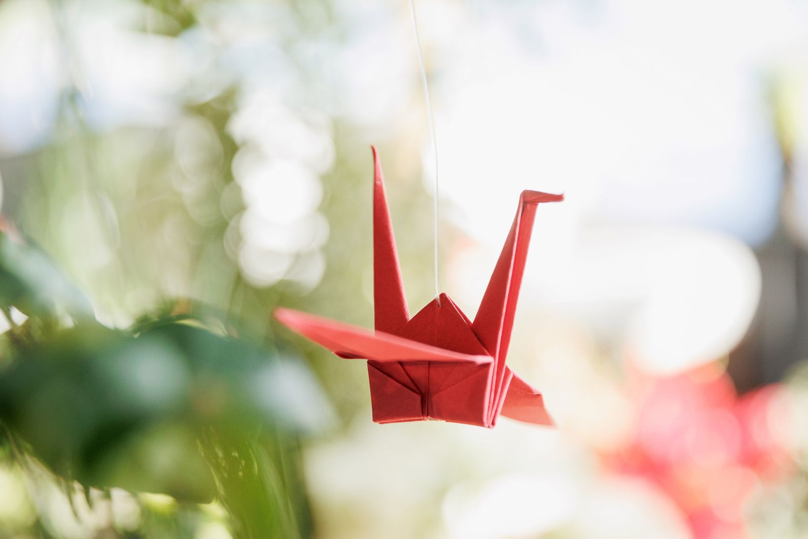 Festa de 50 Anos com Inspiração Japonesa no Rio de Janeiro: Um Entardecer Inesquecível no Espaço Tokyo (Xian) - 2 - 15