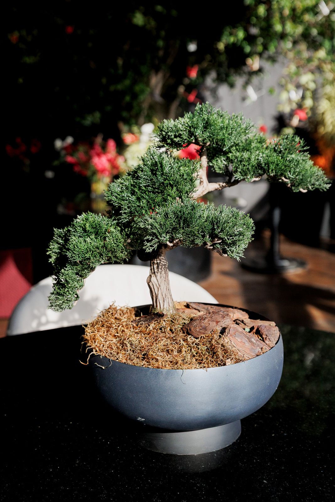 Festa de 50 Anos com Inspiração Japonesa no Rio de Janeiro: Um Entardecer Inesquecível no Espaço Tokyo (Xian) - 2 - 18