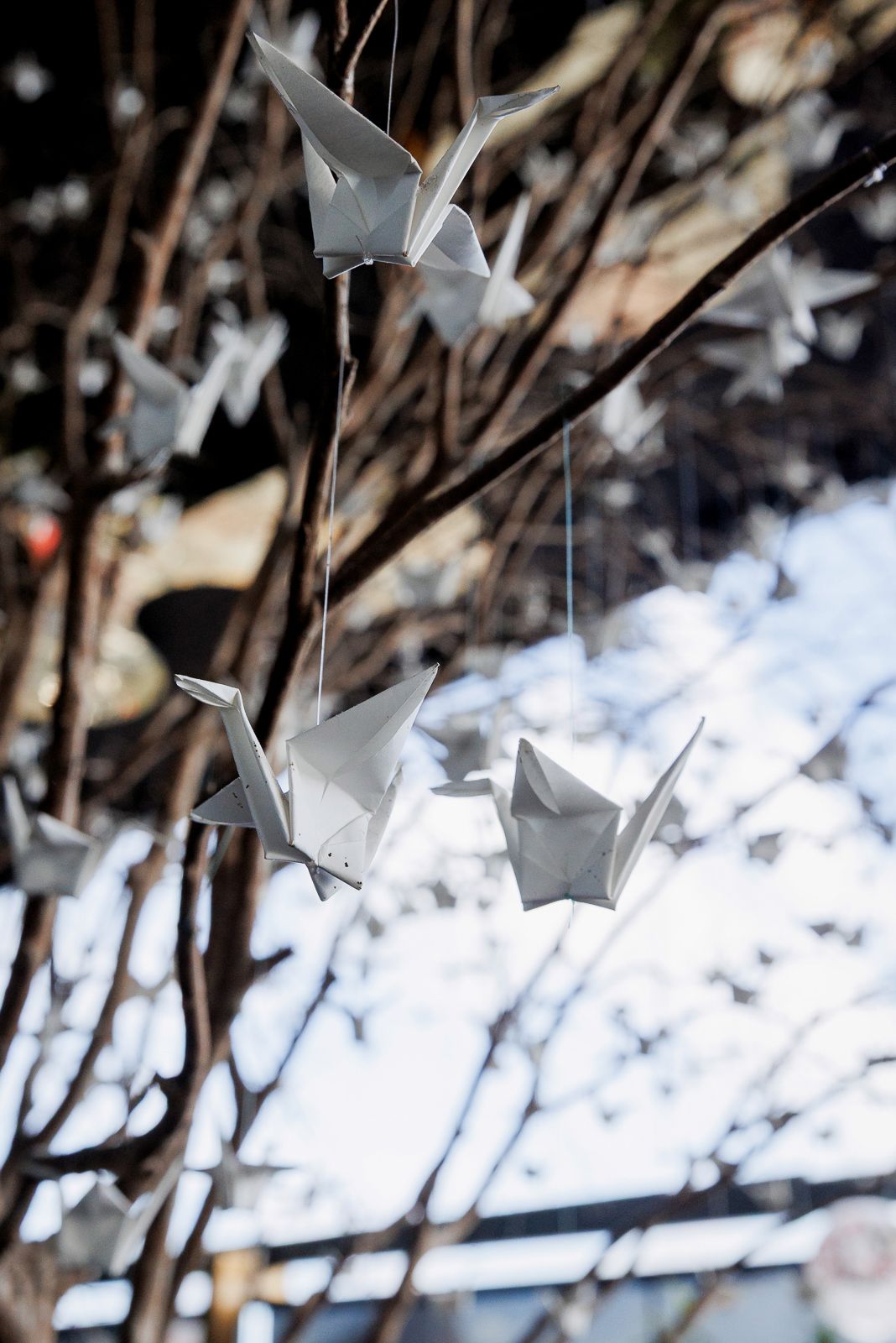 Festa de 50 Anos com Inspiração Japonesa no Rio de Janeiro: Um Entardecer Inesquecível no Espaço Tokyo (Xian) - 2 - 6