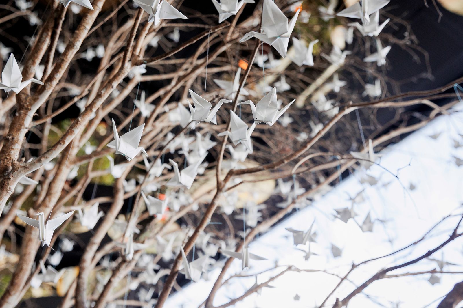Festa de 50 Anos com Inspiração Japonesa no Rio de Janeiro: Um Entardecer Inesquecível no Espaço Tokyo (Xian) - 2 - 7