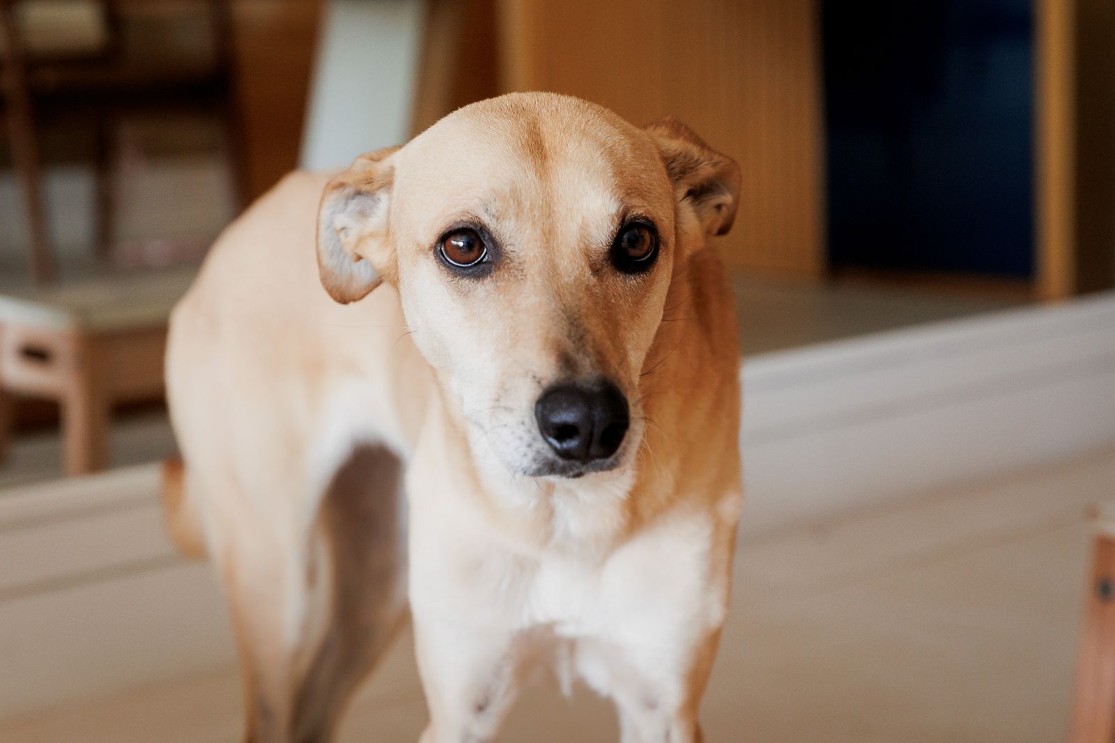 Chá de Bebê da Maria Beatriz no Rio de Janeiro | Celebração íntima em família - 2 - 19