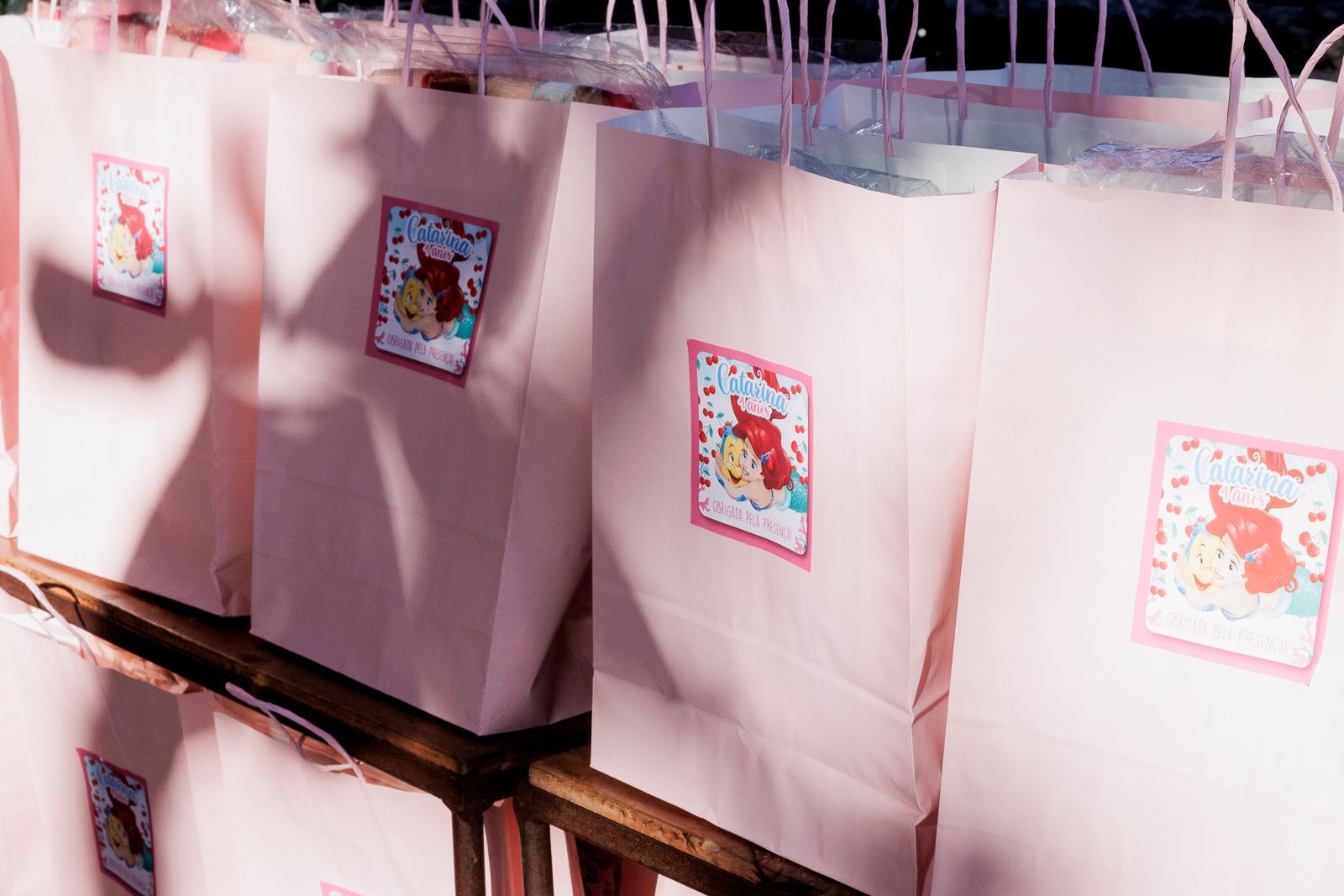 Festa Infantil da Catarina – Tema Pequena Sereia na Animassom do Jockey Club | 4 Anos - 2 - 57