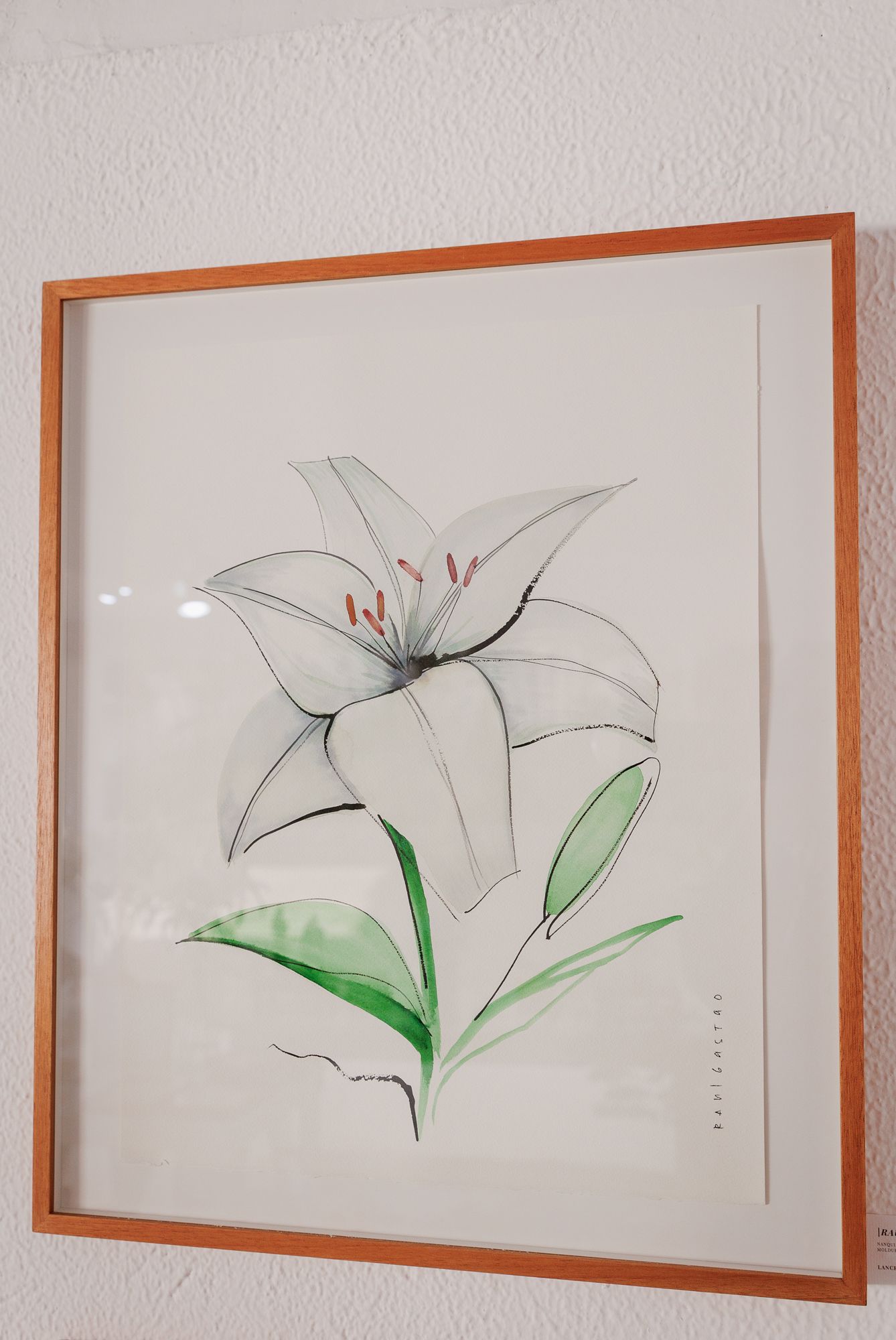 Evento Solidário no Patronato da Gávea reúne arte, fé e devoção em homenagem a Santo Antônio - 2 - 1