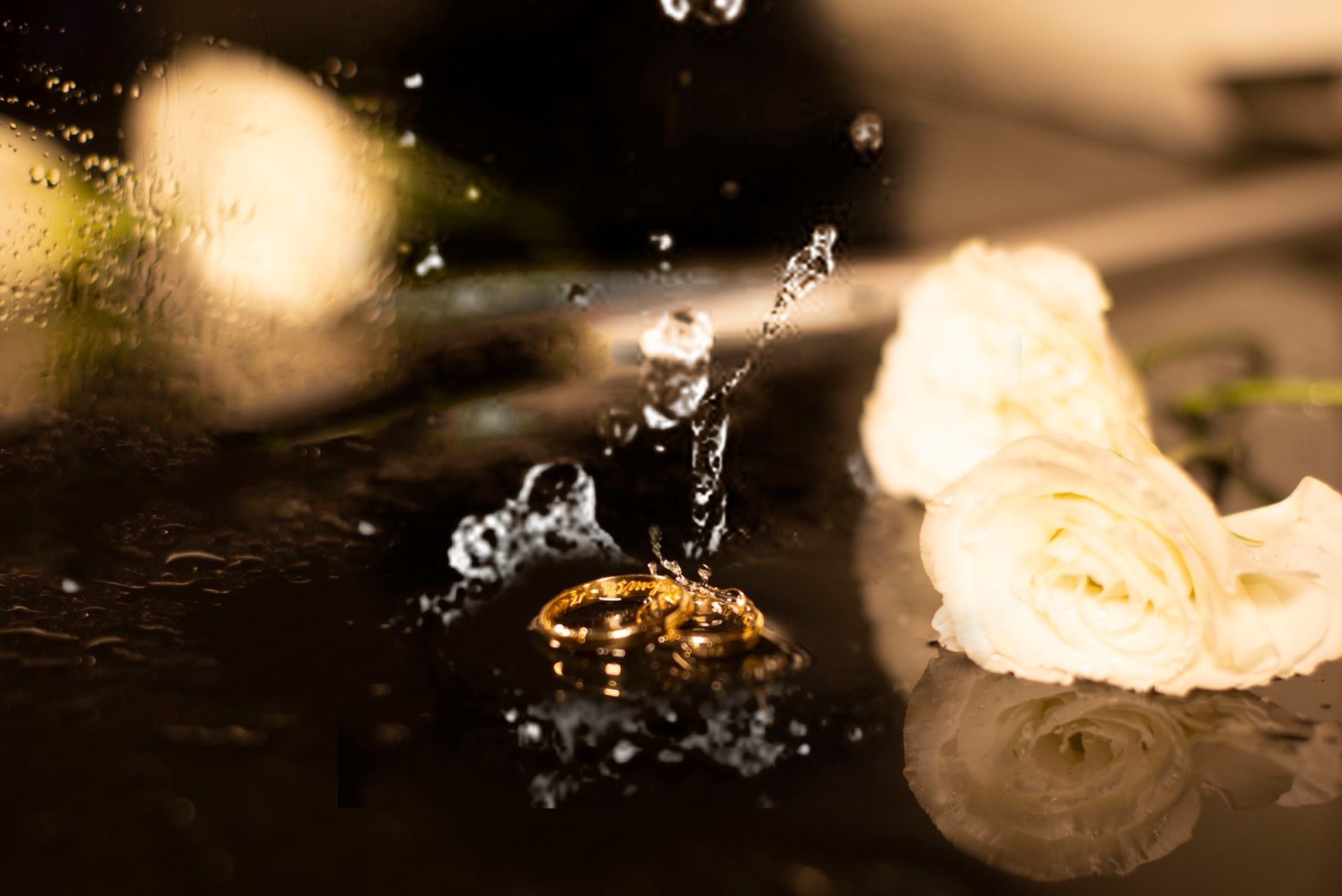 Casamento no Ilustre Gardem em Belo Horizonte - MG (Ana Luiza & Gustavo) - 2 - 2