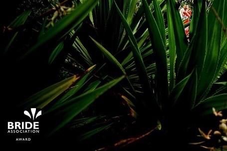 fotógrafo de casamentos, Rio de Janeiro - RJ Wagner Oliveira - 1 - 0