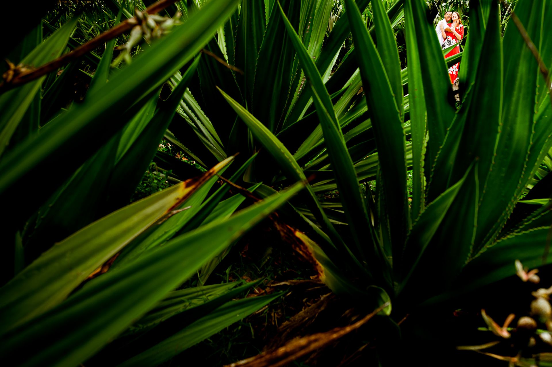 Ensaio pré wedding Larissa & Gustavo - 2 - 1