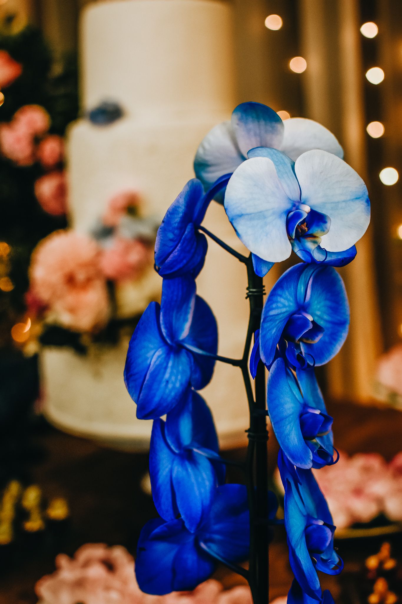 5 dicas para te ajudar a escolher o local do seu casamento: conheça todas elas! - 2 - 4