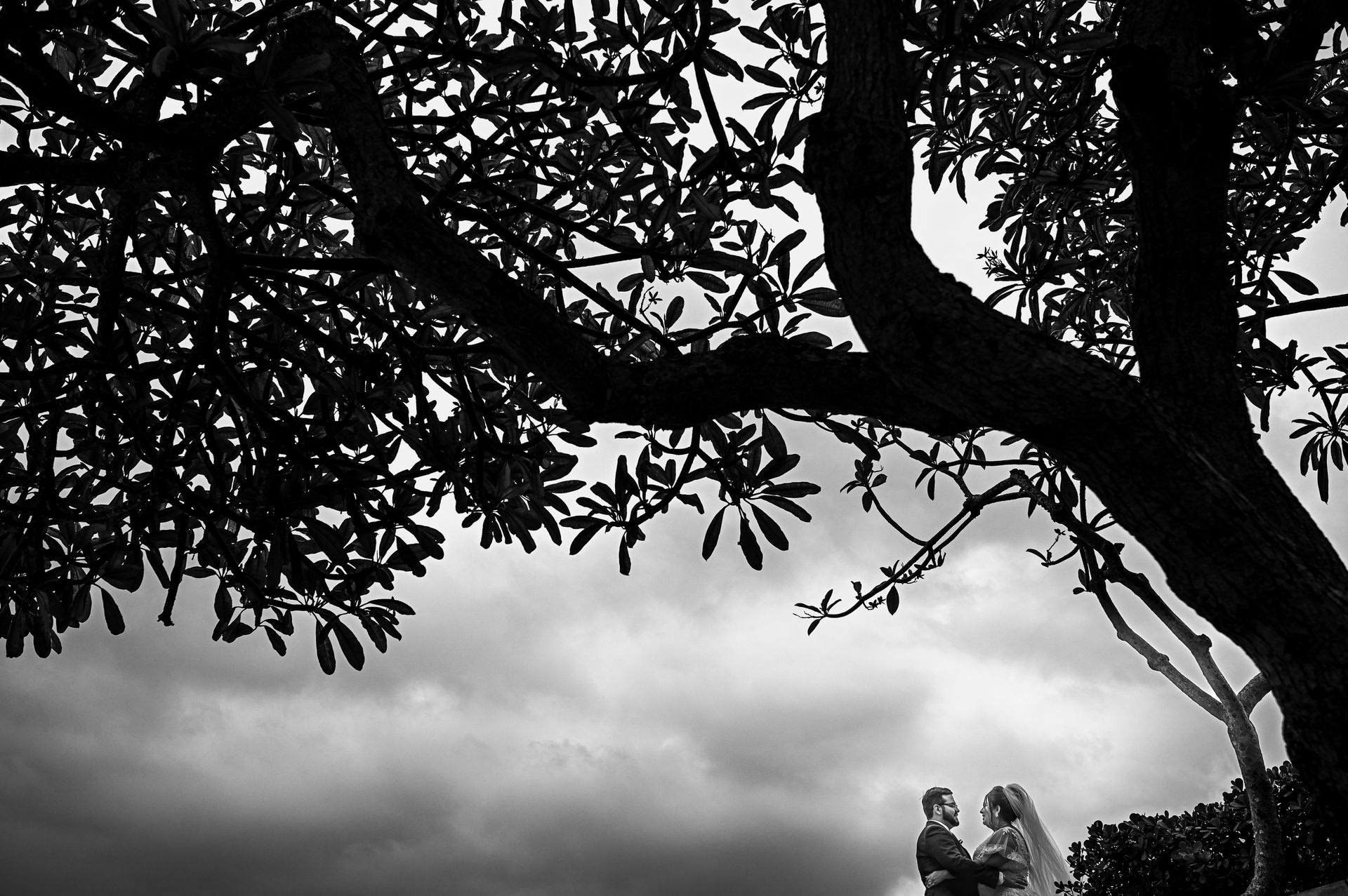 "Harmonia de Amor: O Capítulo Inesquecível de Priscila & Taryk" - 2 - 19