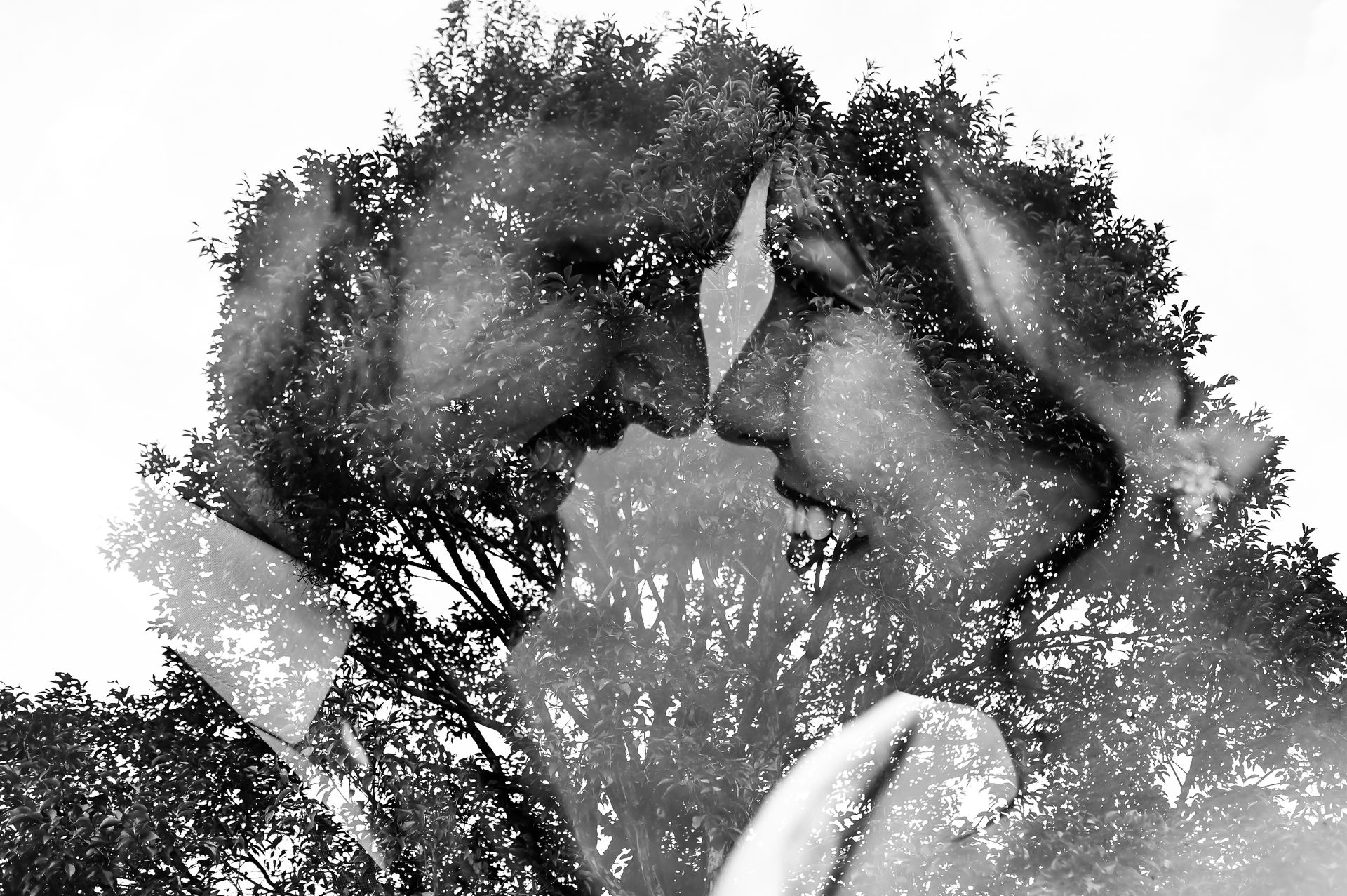 "Amor no Campo: O Casamento de Luana e Ary" - 2 - 27