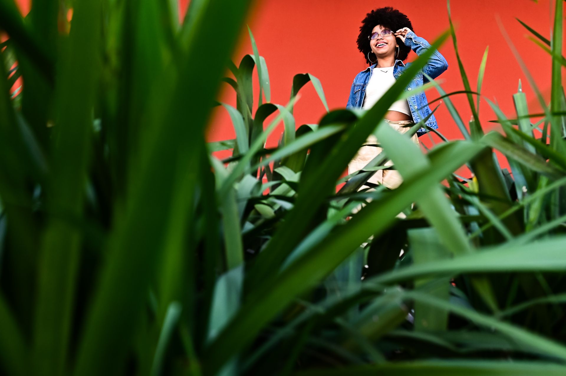 “Liz: Um Sonho de 15 Anos” - 2 - 9