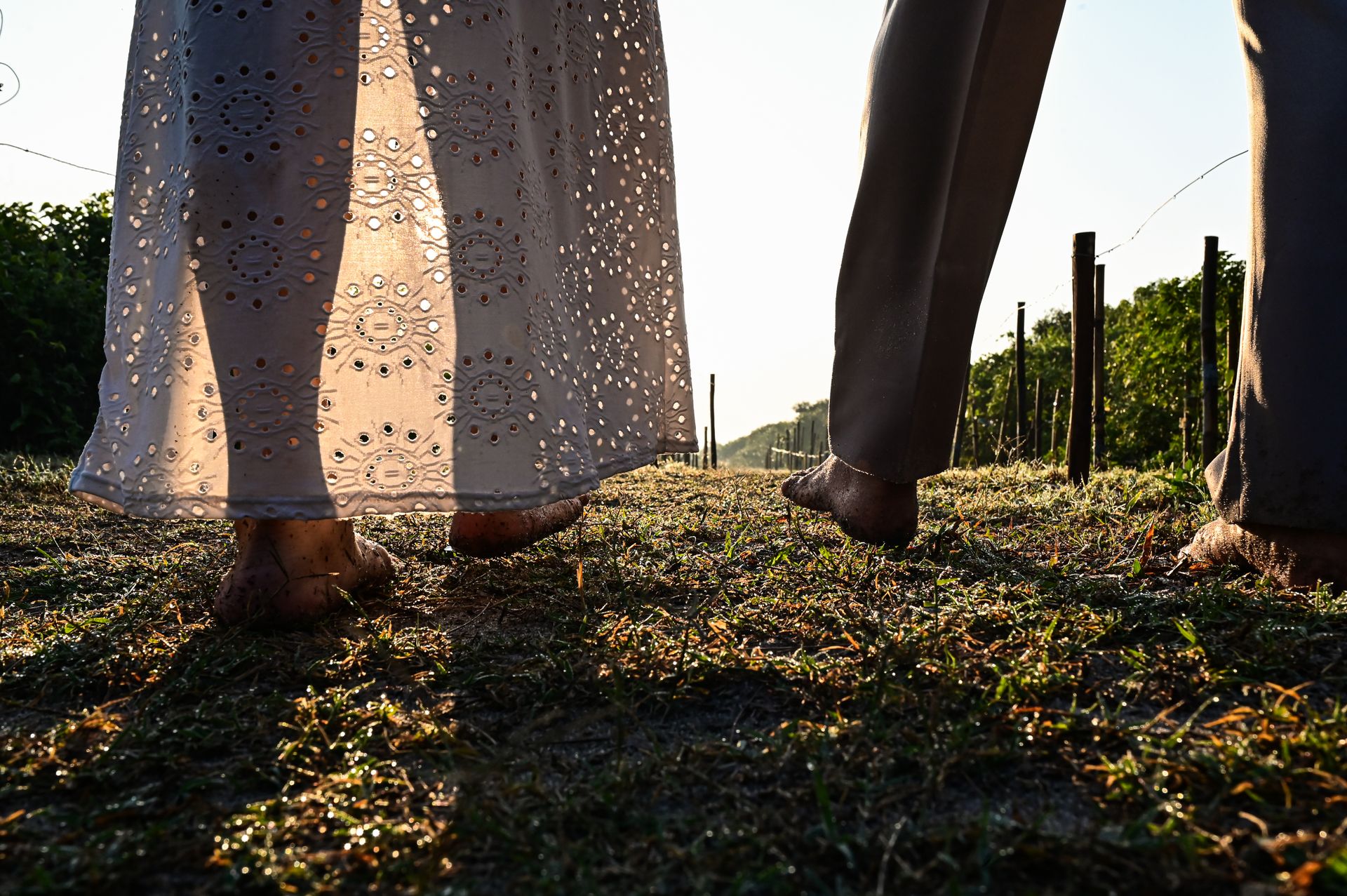 “Amor ao Ar Livre: O Ensaio de John e Gil” - 2 - 27