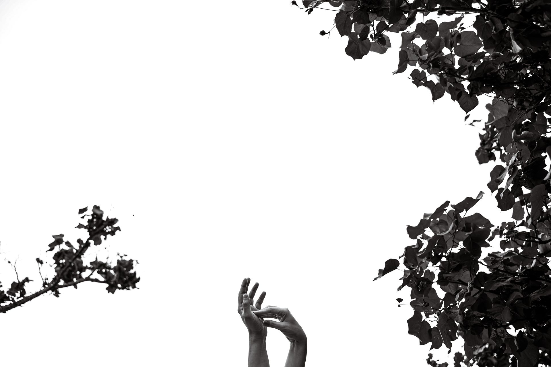 Capítulo Um de Uma Vida Inteira - 2 - 16