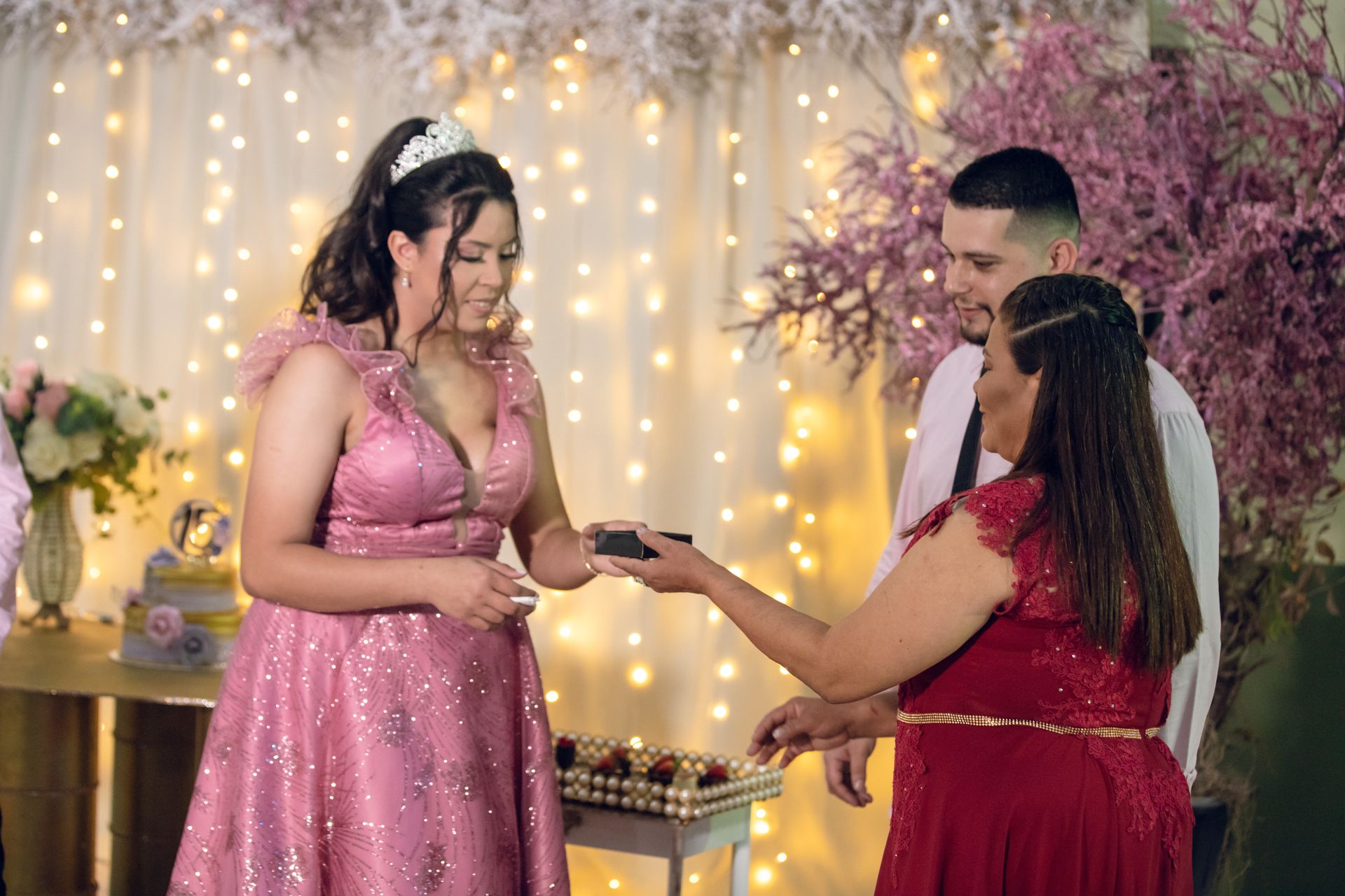 Ana Livia - 15 anos - 2 - 1