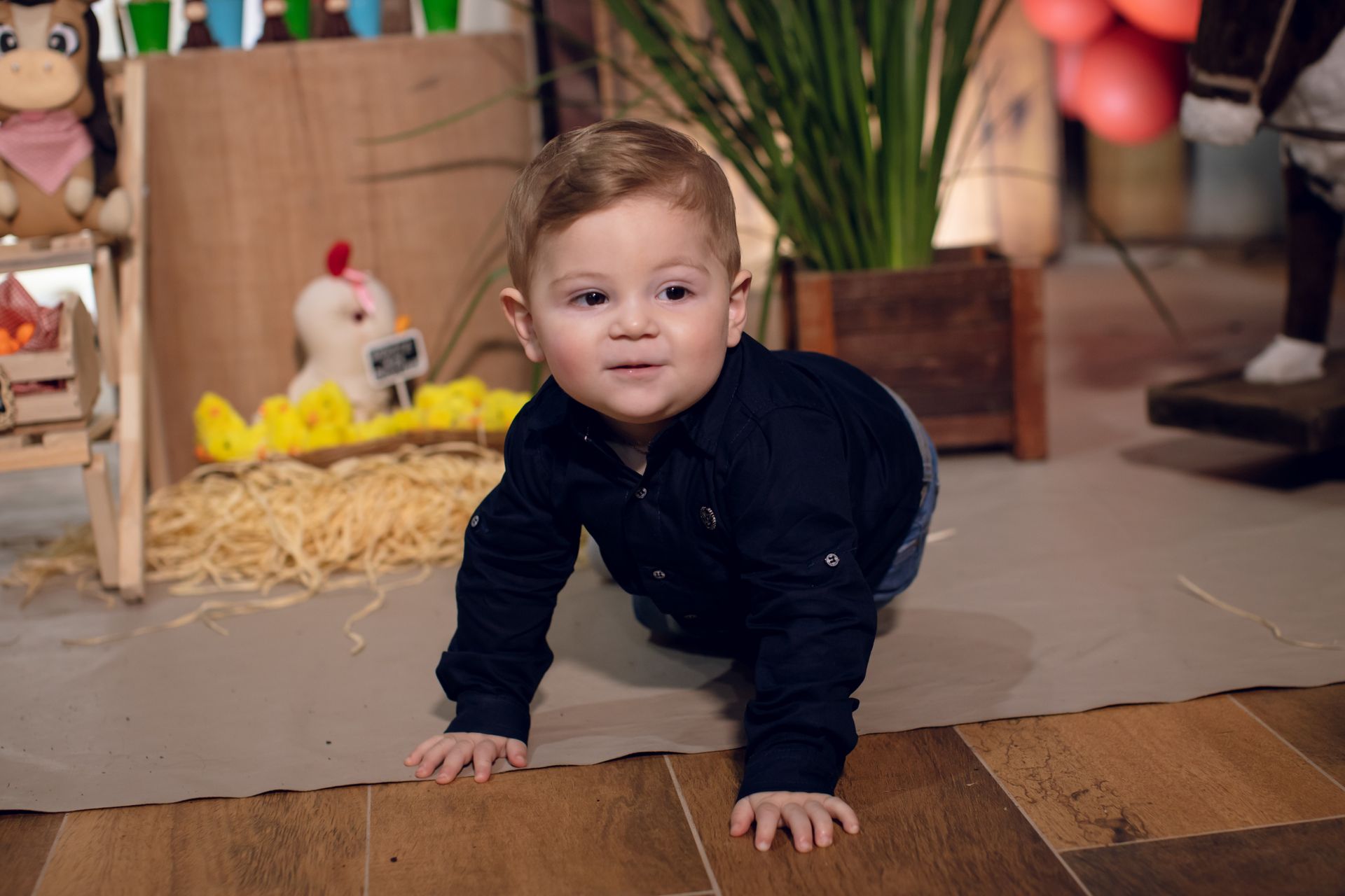 Clézio - 1 aninho - 2 - 0