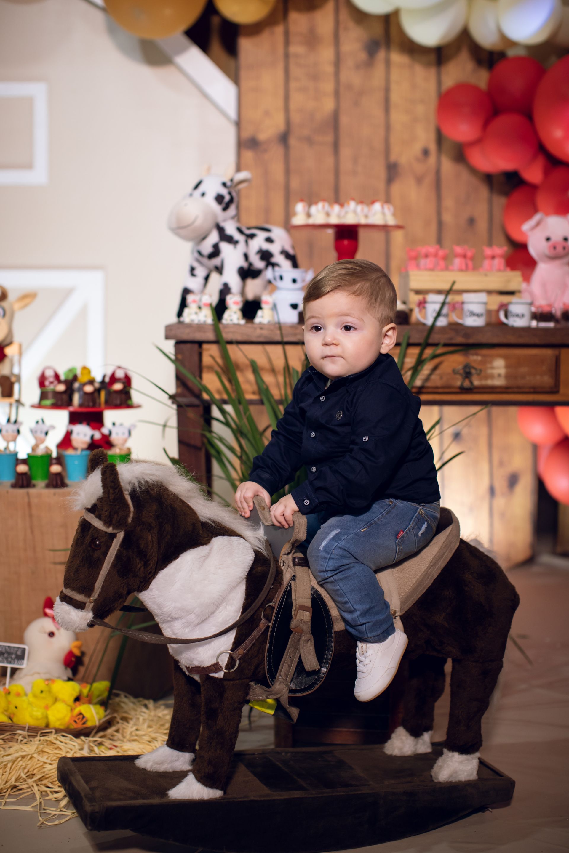 Clézio - 1 aninho - 2 - 2