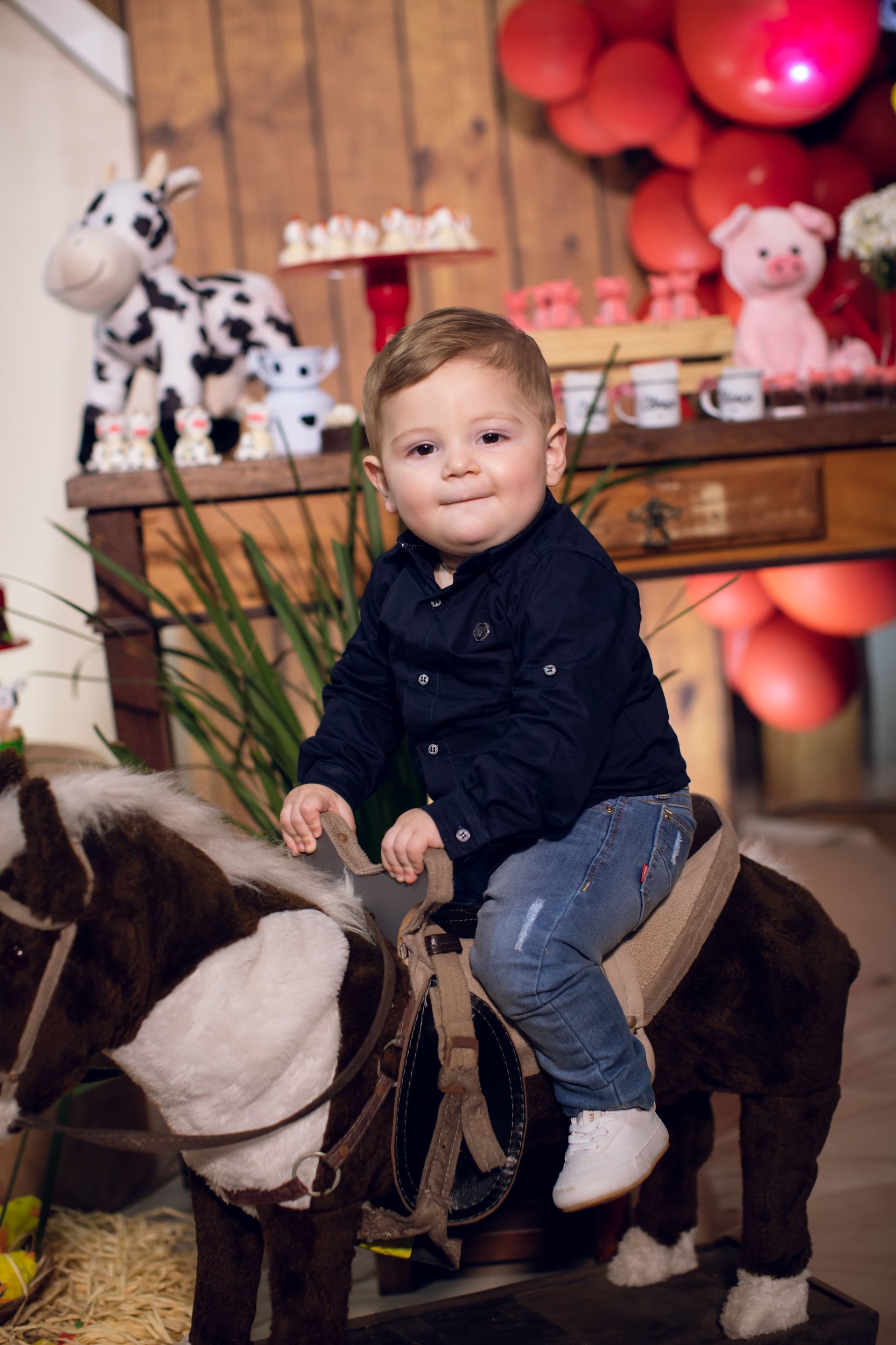 Clézio - 1 aninho - 2 - 1