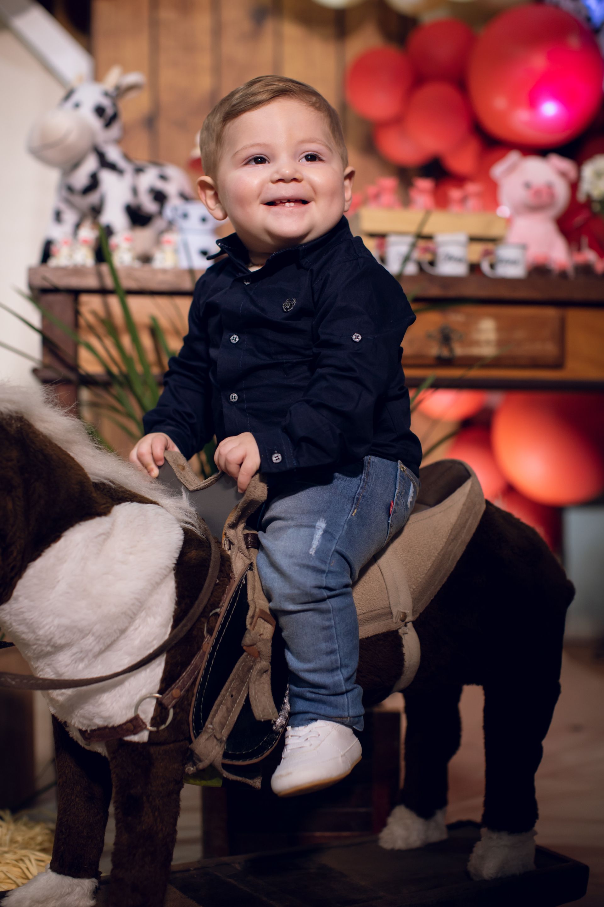 Clézio - 1 aninho - 2 - 2