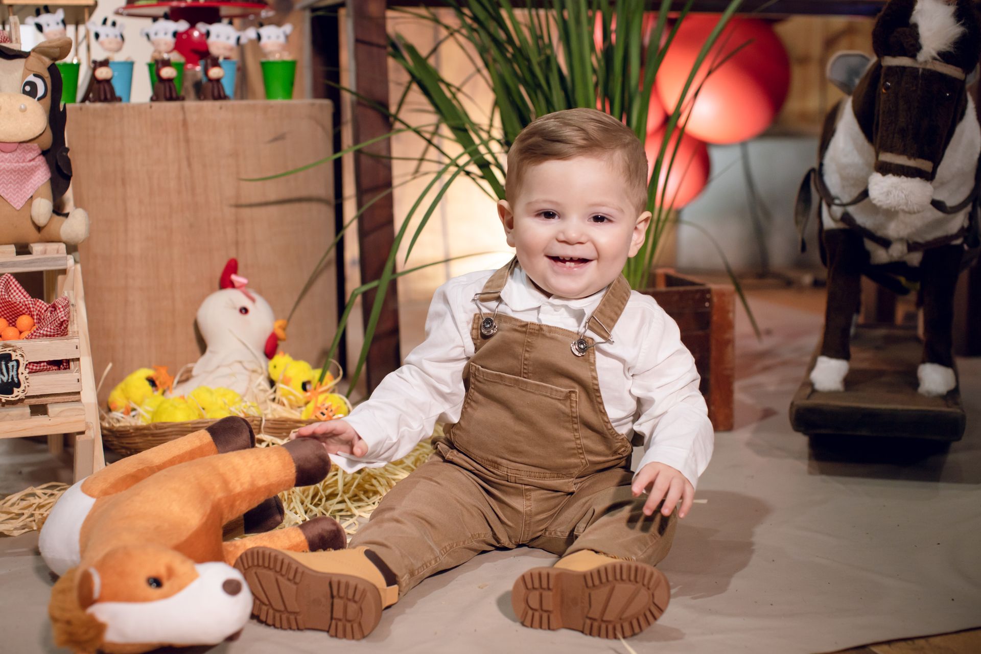 Clézio - 1 aninho - 2 - 1