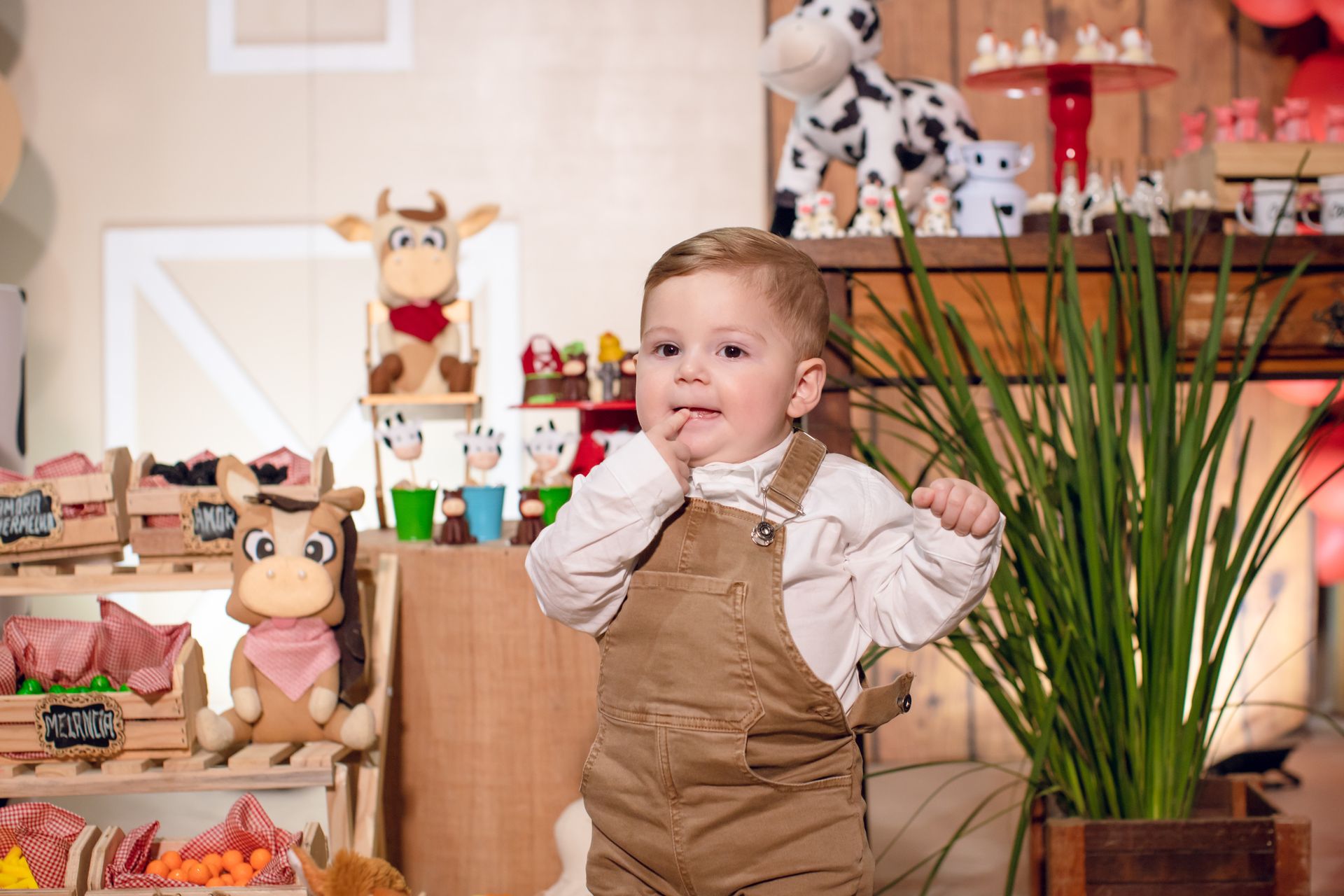 Clézio - 1 aninho - 2 - 1