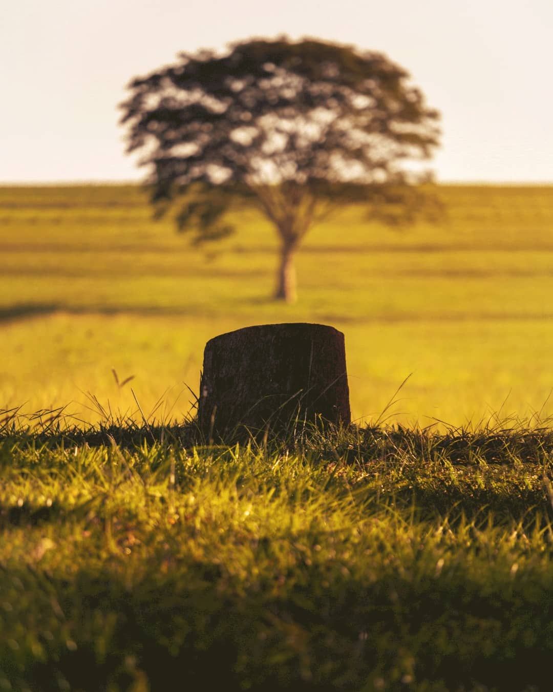 Como chegar no Espaço Zeus: O melhor Pôr do Sol de Rio Preto - SP - 4 - 2