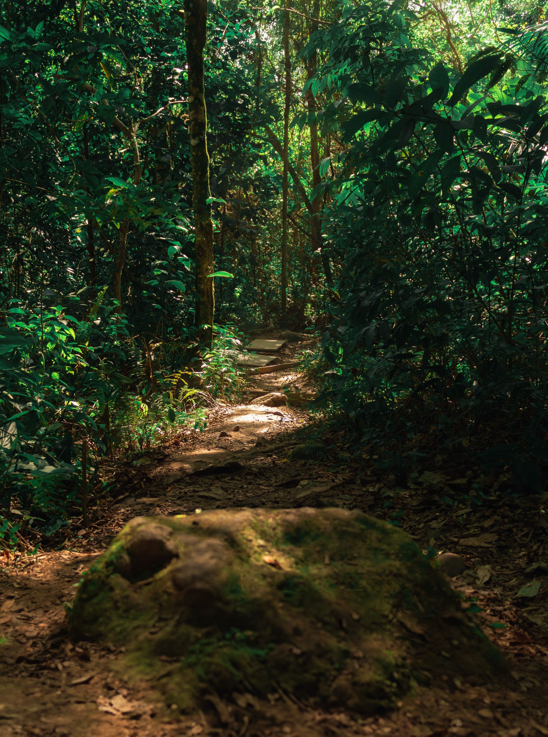 Trilha dos Surfistas pelo Parque Estadual Xixová Japuí - 4 - 0