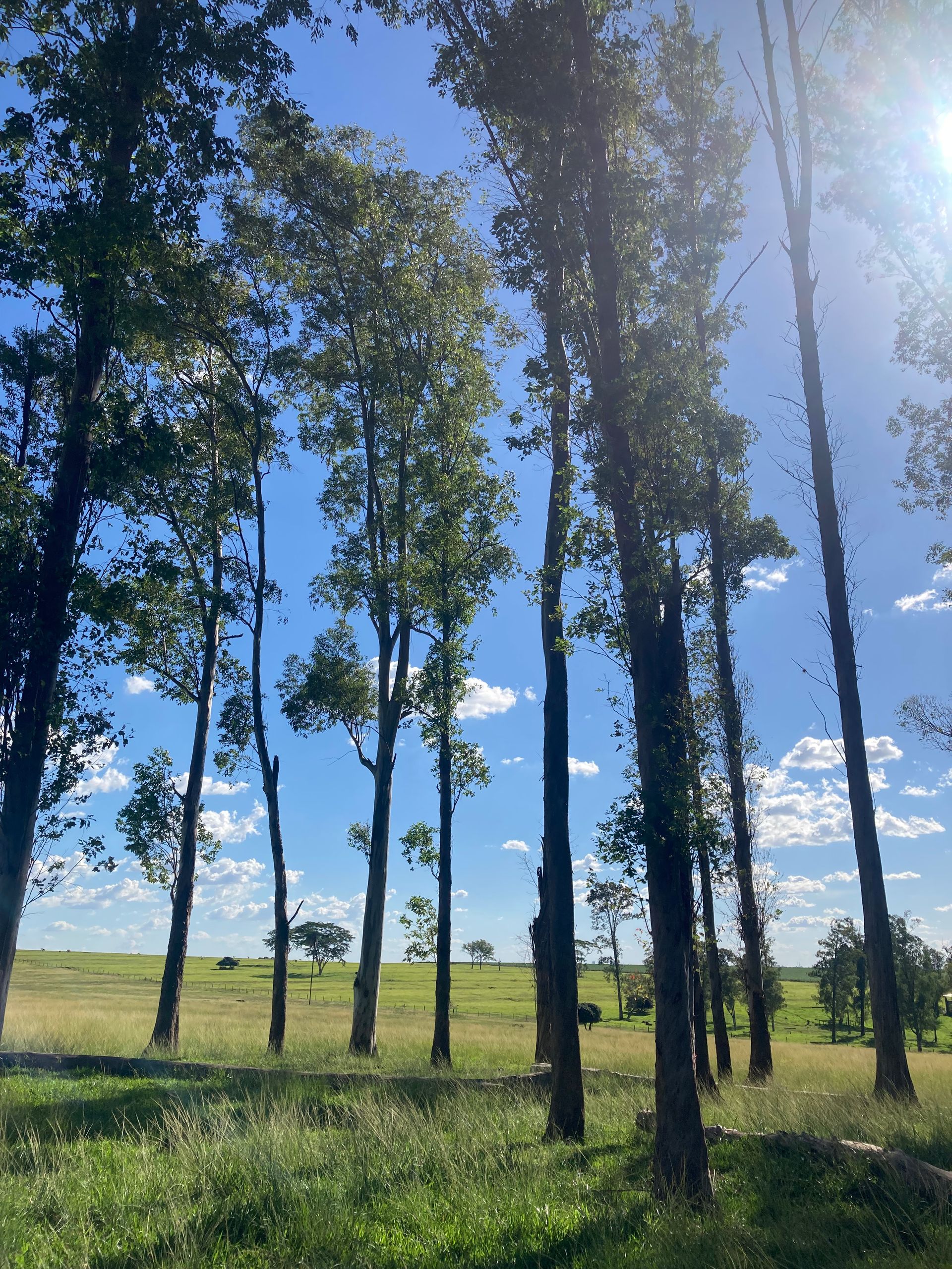 Como chegar no Espaço Zeus: O melhor Pôr do Sol de Rio Preto - SP - 2 - 2