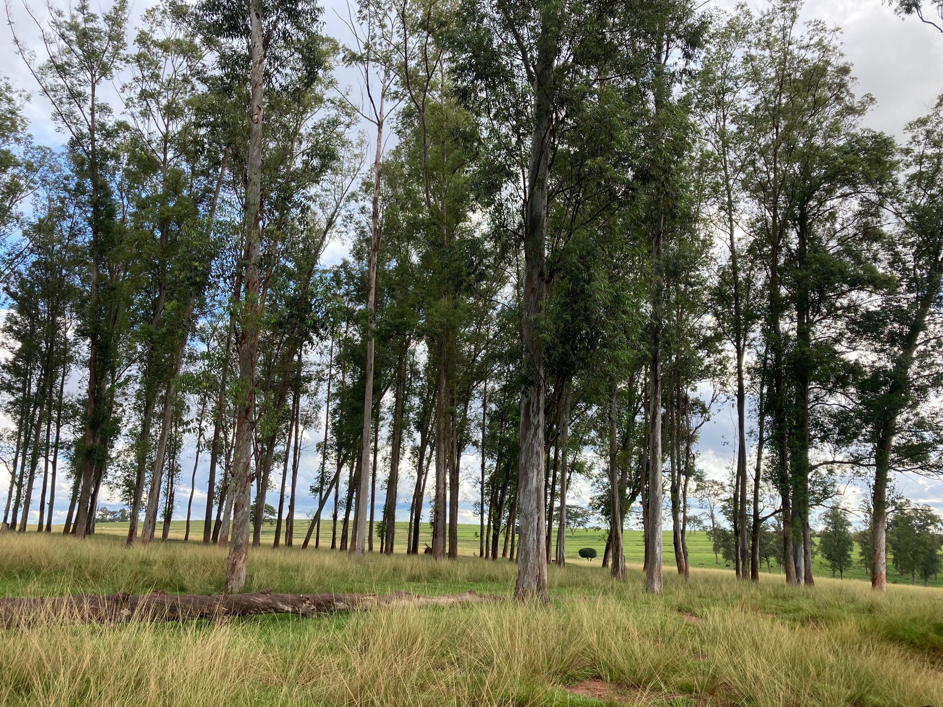 Como chegar no Espaço Zeus: O melhor Pôr do Sol de Rio Preto - SP - 2 - 1