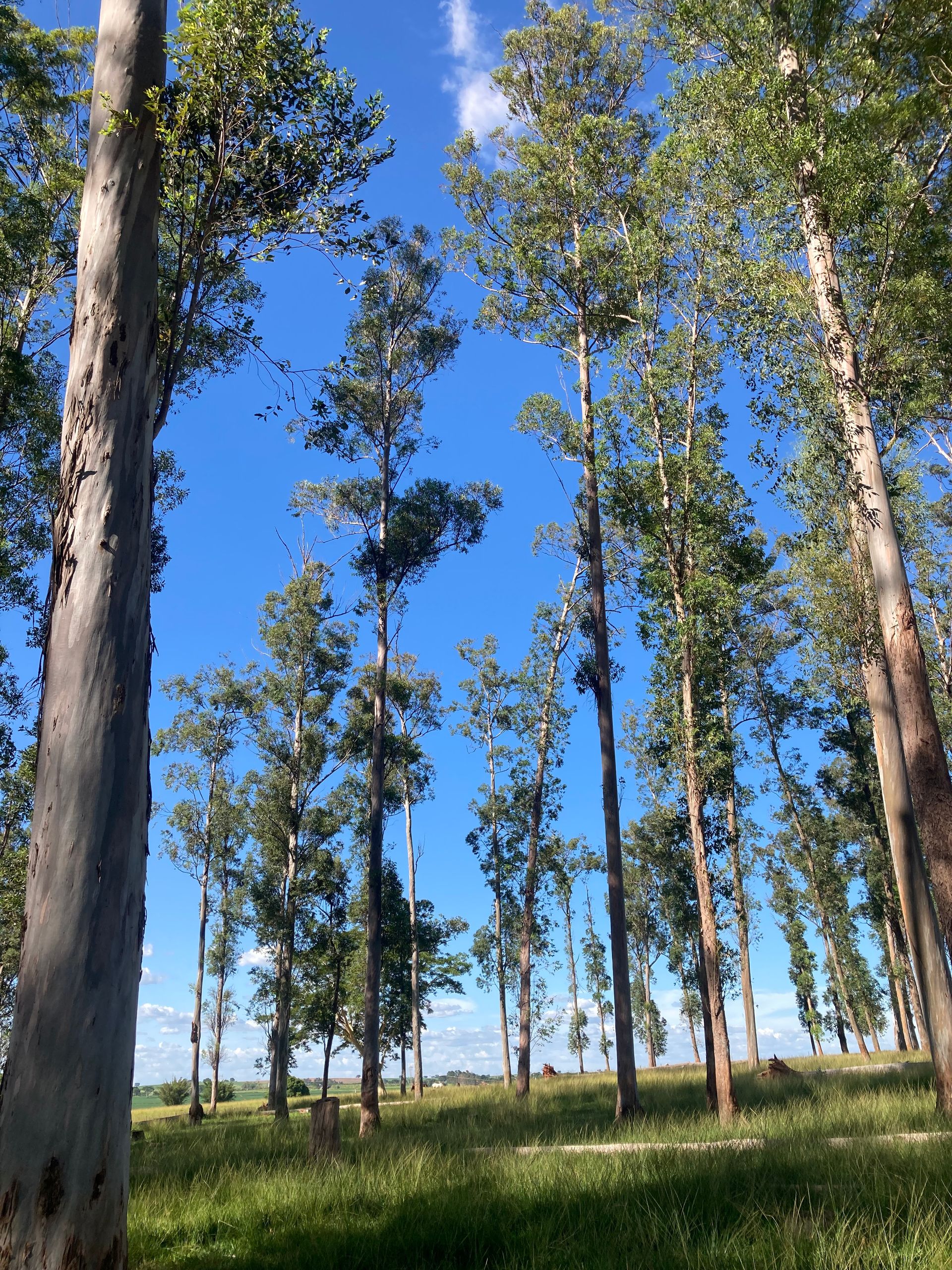 Como chegar no Espaço Zeus: O melhor Pôr do Sol de Rio Preto - SP - 2 - 0