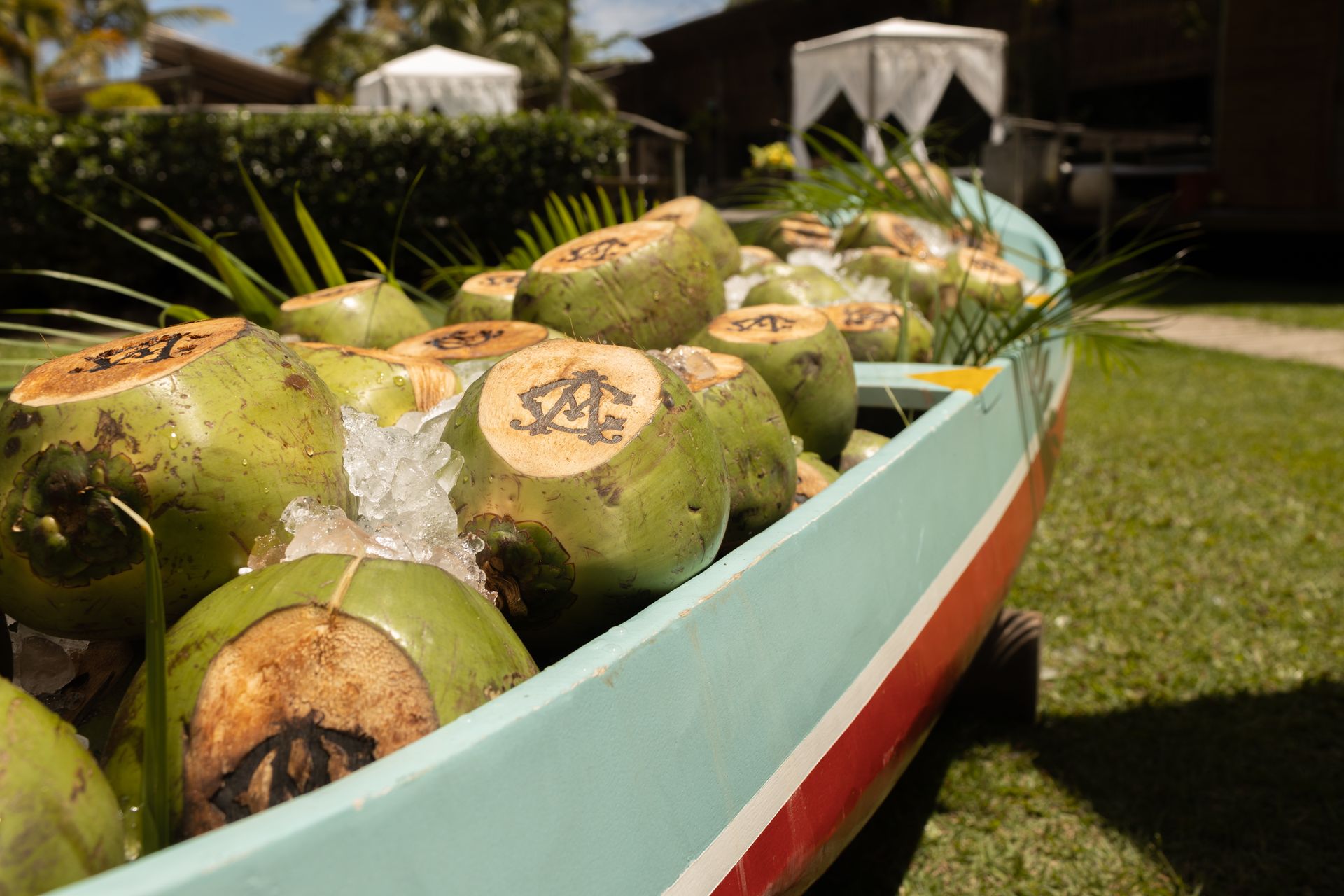 Casamento Carol e André - 1 - 0