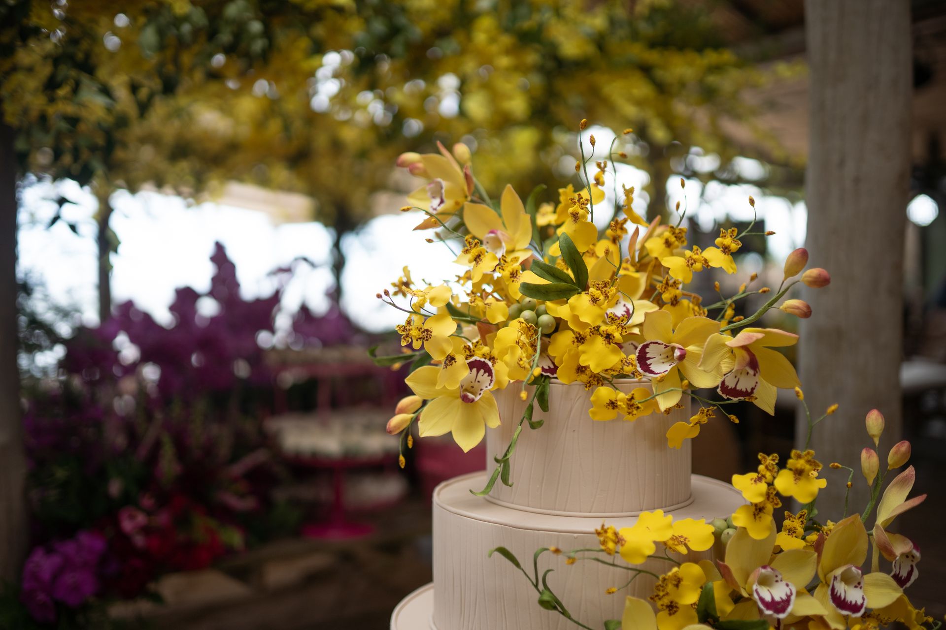 Casamento Carol e André - 1 - 1