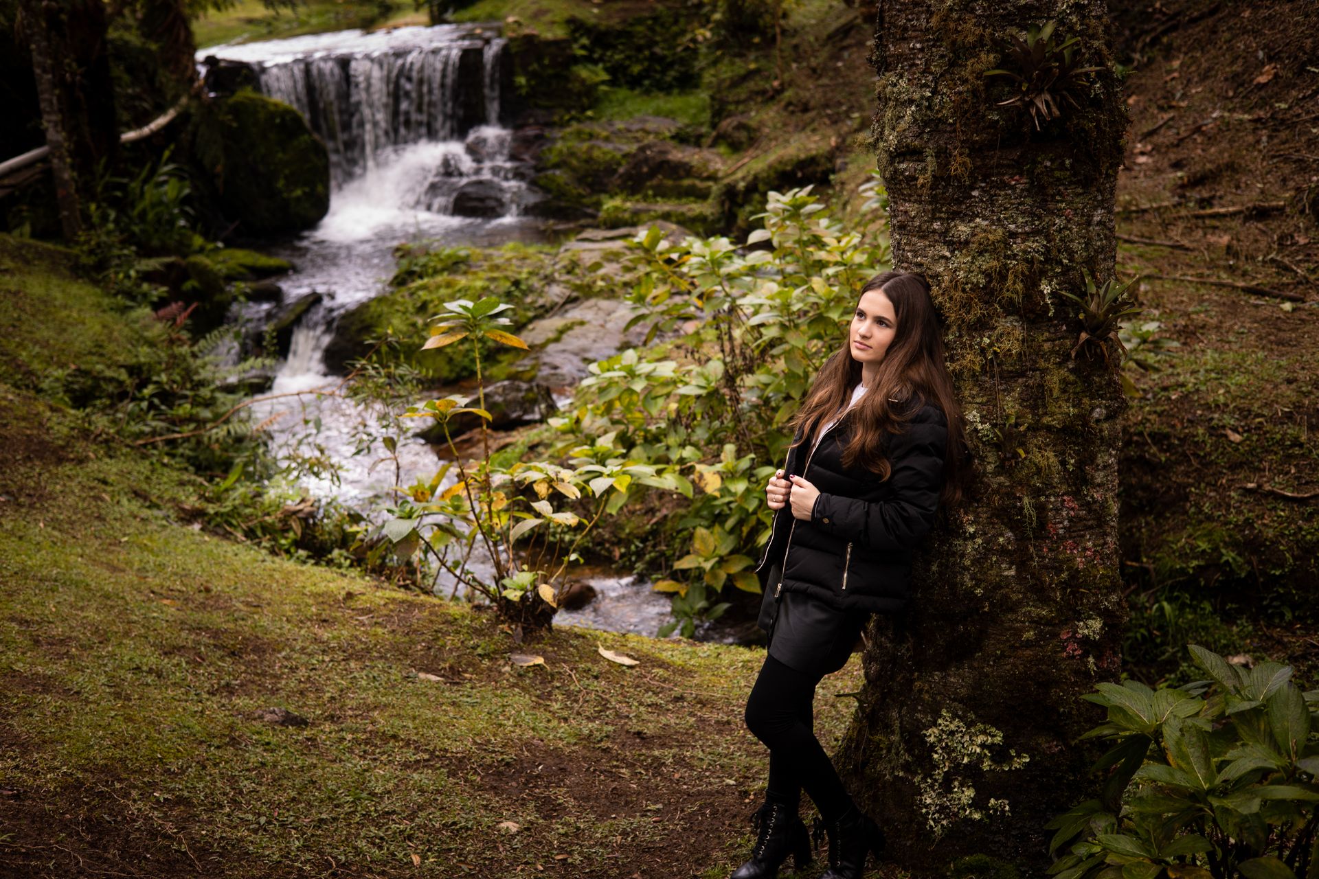 Ensaio 15 anos de Lais em Campos do Jordão - 1 - 1