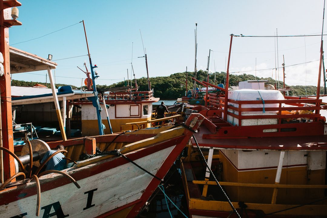 Porto de Alcobaça - 1 - 1