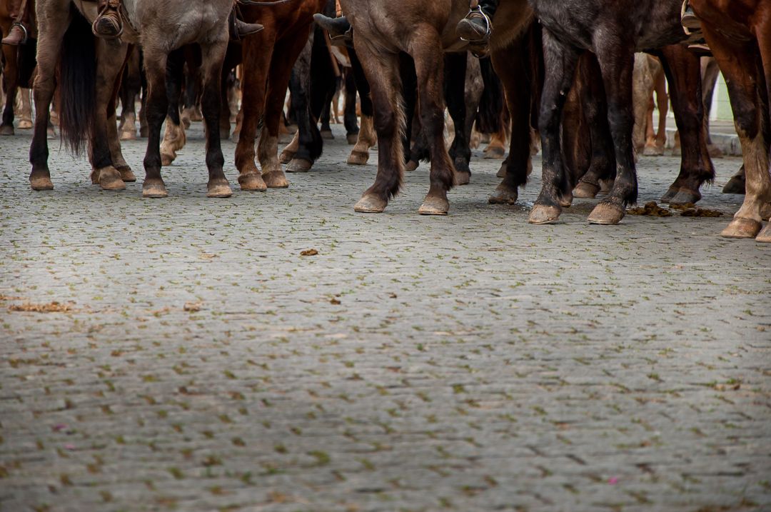 Os Novos Gaúchos - 1 - 3