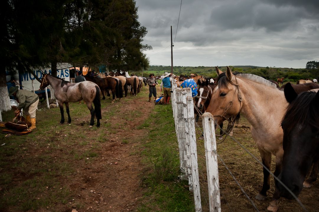 Os Novos Gaúchos - 1 - 4