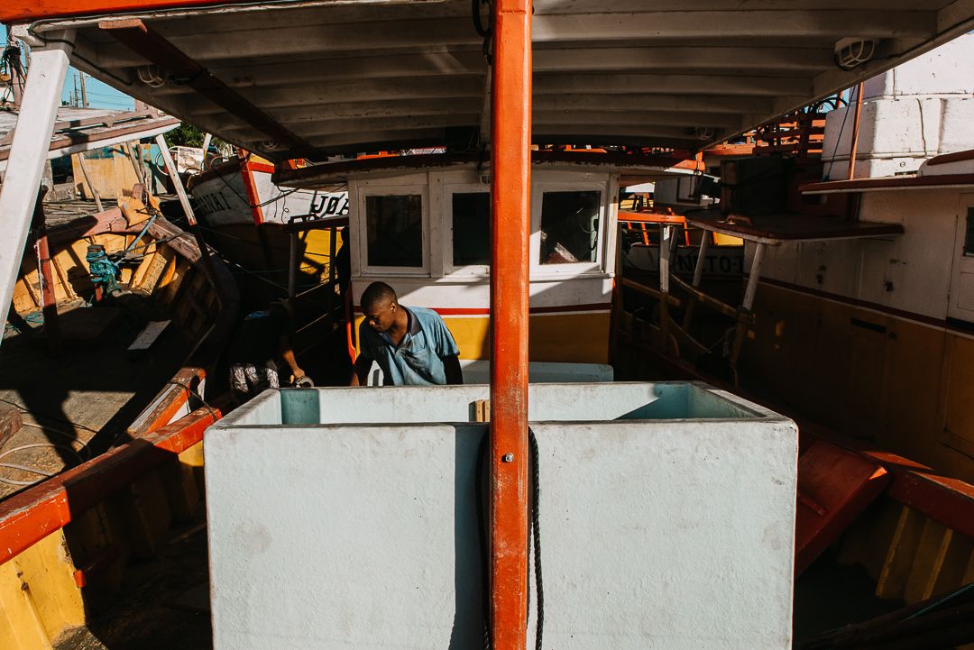 Porto de Alcobaça - 1 - 5