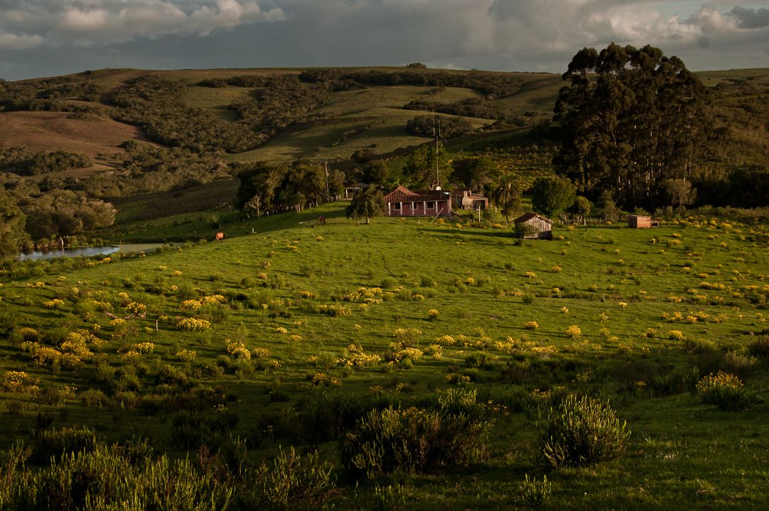 Os Novos Gaúchos - 1 - 12