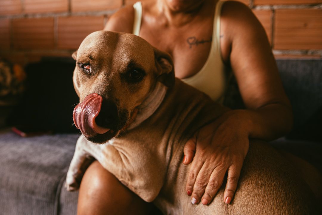 Barbearia PitBull - 1 - 18