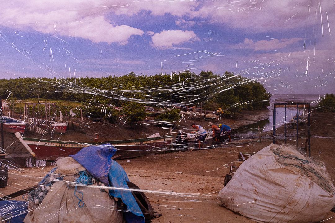 As Novas Perspectivas do Plástico  - Ciclos de Vida e Morte - 1 - 1