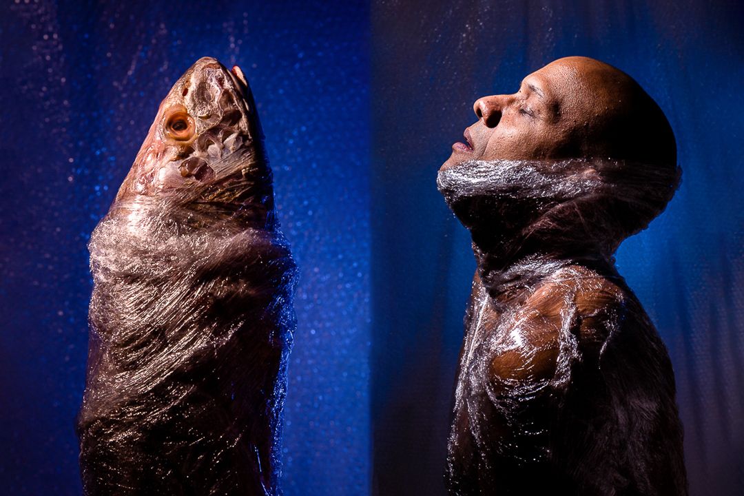 As Novas Perspectivas do Plástico - 1 - 5