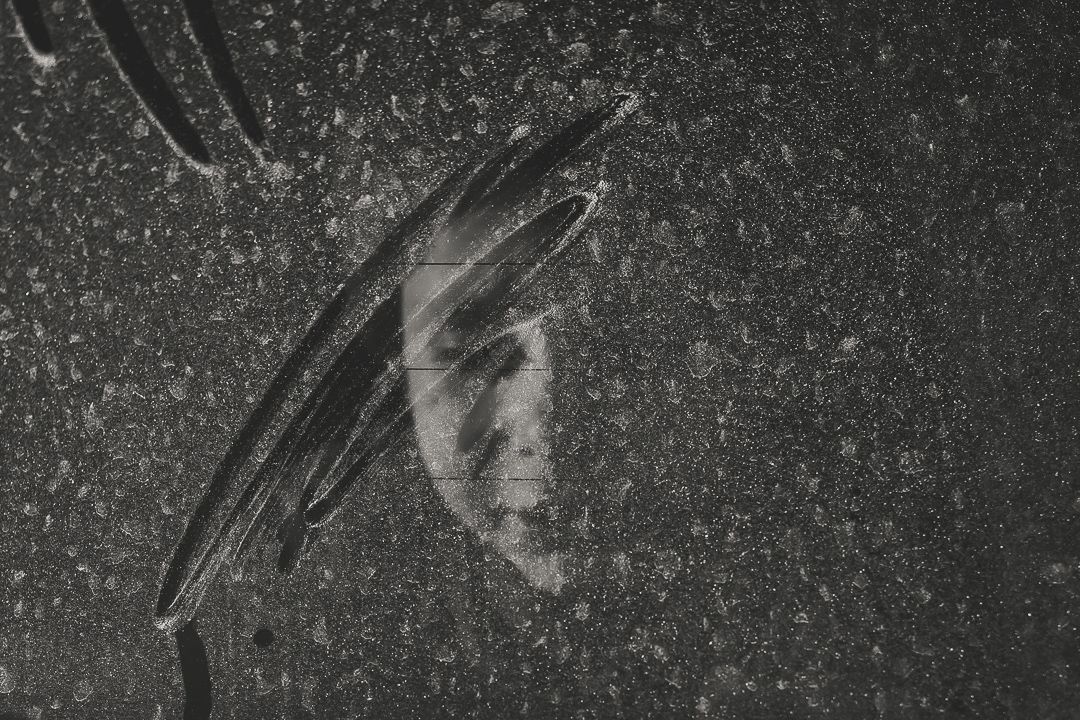 Nonesuch Family - 1 - 9