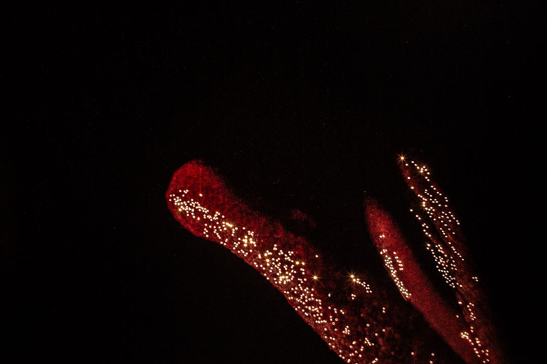 As Novas Perspectivas do Plástico - Microplásticos - 1 - 9