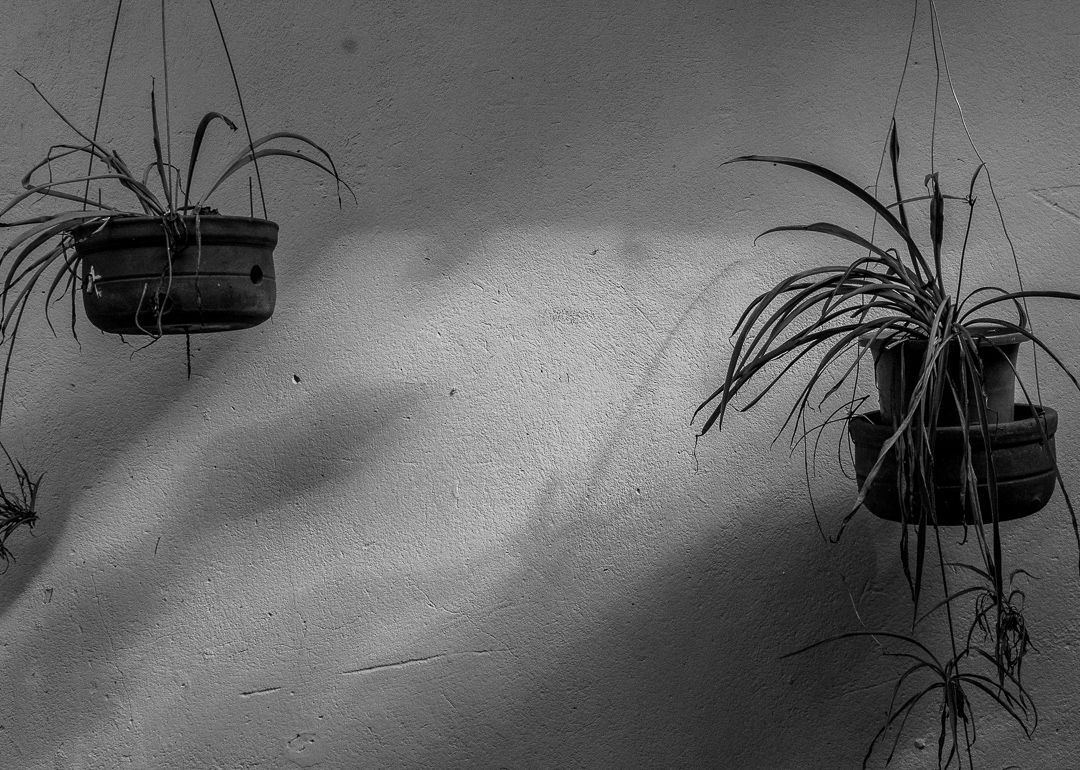 Em (SI)Lêncio - 1 - 15