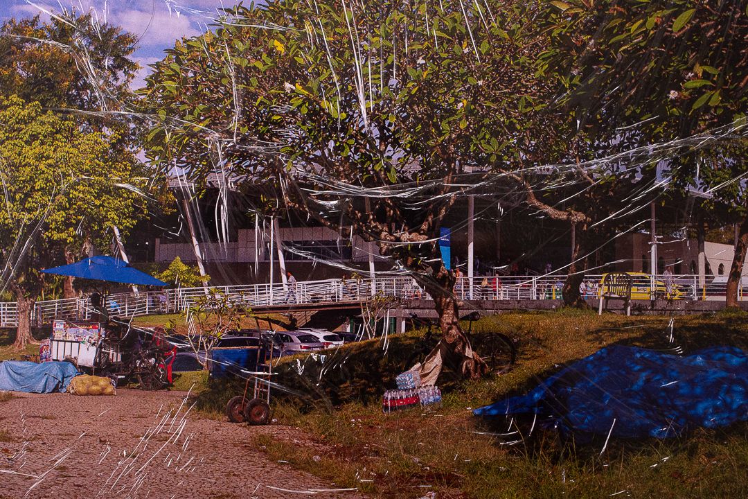 As Novas Perspectivas do Plástico  - Ciclos de Vida e Morte - 1 - 17