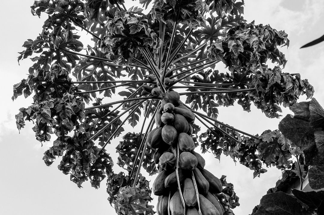 Em (SI)Lêncio - 1 - 19