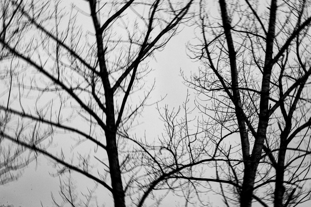 PERTENCIMENTO - 1 - 5