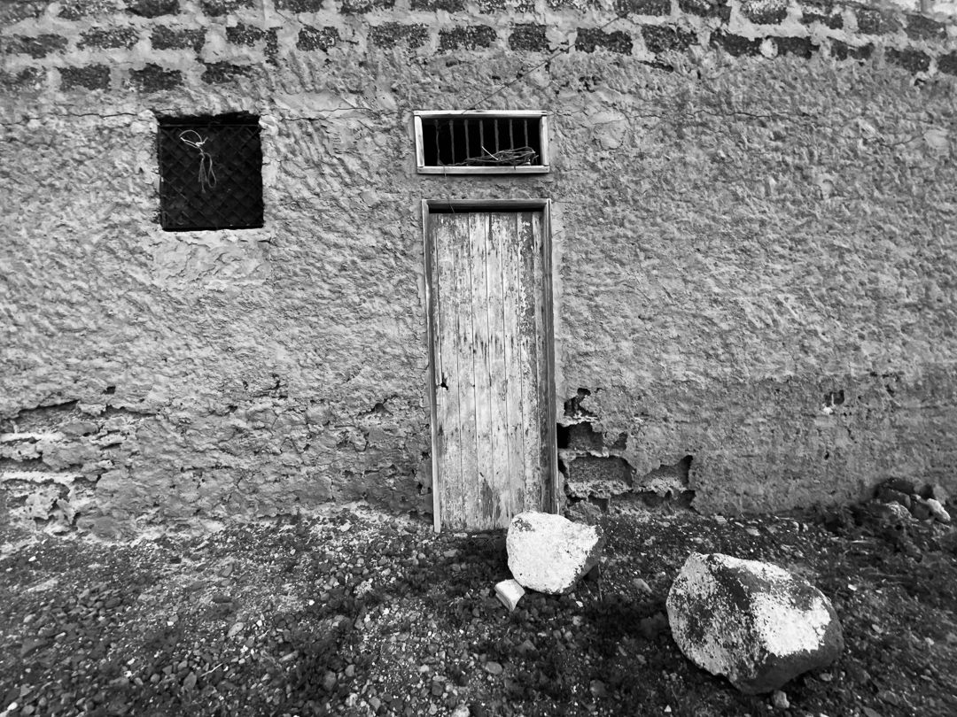 PETRIFICADOS - 1 - 3