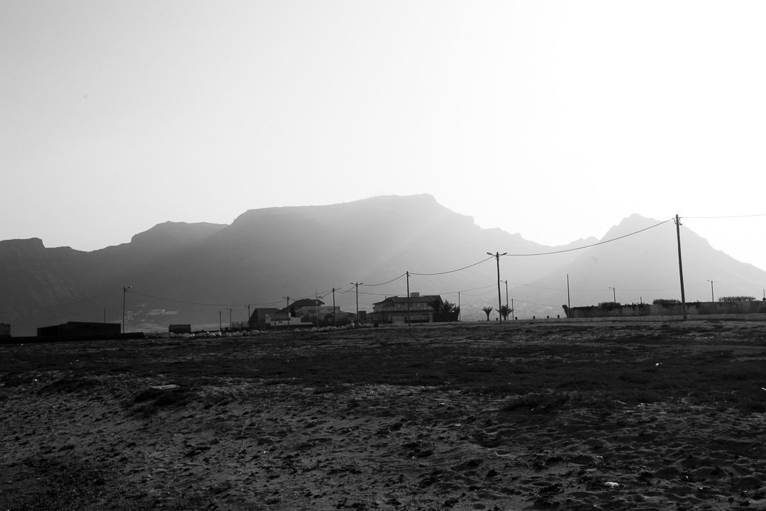 PETRIFICADOS - 1 - 4