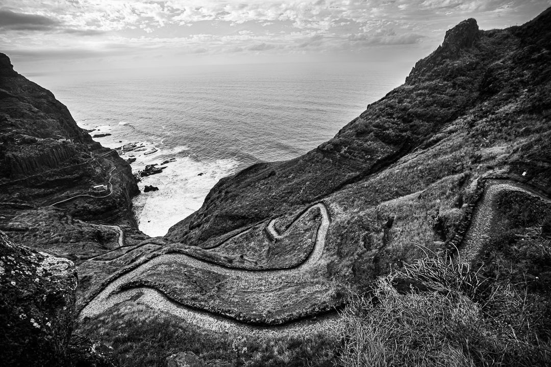 PETRIFICADOS - 1 - 5